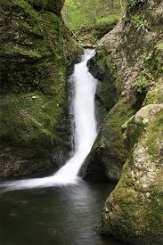 Address, phone number, indian well state park reviews: Indian Well Falls Connecticut