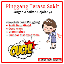  Lumbago Sakit Pinggang Atau Nyeri Pinggang Merupakan Hal Dan Kondisi Yang Sama Sakit Pinggang Paling Umum Dirasakan Orang Segala Usia Remaja Otot Perasaan