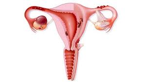 Maybe you would like to learn more about one of these? 7 Reasons For Painful Periods And Menstrual Cramps Everyday Health