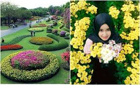 Desain taman bunga seperti pada gambar di atas cocok untuk anda yang hobi berkebun. 10 Taman Bunga Terindah Di Indonesia Ini Paling Ampuh Meluluhkan Hati Cewek Mau Coba Boombastis