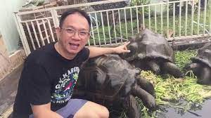 Seekor kura kura aldabra bernama adwaita tercatat bisa hidup sampai 255 tahun menjadikannya kura kura yang berumur paling panjang di dunia. Tips Dan Cara Memelihara Kura Raksasa Aldabra Youtube