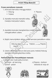 Rasmga et'ibor qilamiz notalarimiz bu chiziqlarda qanday joylashar. Nota Sains Tahun 4 Proses Hidup Manusia Bab 3 Fun Crayons Eduspace Funtimes Bab Prose Fun
