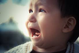 Sesiones fotografícas Info: Vía inbox con @Luna Morrison …