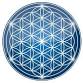 Holy Angels Healing Gong Journey  ($44.44) event in Clawson, MI