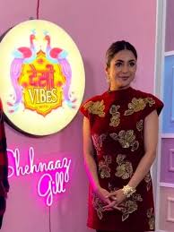 IN - Desi Vibes with Shehnaaz Gill