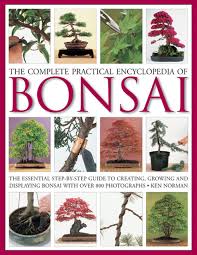 Make a few short branches coming from the top of the trunk. The Complete Practical Encyclopedia Of Bonsai The Essential Step By Step Guide To Creating Growing And Displaying Bonsai With Over 800 Photographs Norman Ken 9780754821809 Amazon Com Books