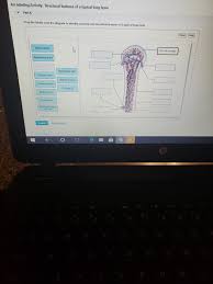 I'm a little bit of a risk taker and easily swayed to be the first to do something stupid. Art Labeling Activity Structural Features Of A Chegg Com