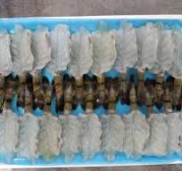 FROZEN RAW PTO BUTTERFLY BLACK TIGER PRAWN