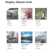Google Photos Gallery With Shortcodes Wordpress Plugin Wordpress Org Deutsch If possible it is recommended to add captions or locations and changing dates before.