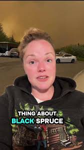 Moving to Fairbanks Alaska: What to Expect