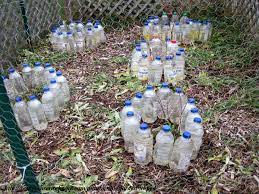 A very very easy project to create an effective cold frame that will last for years! Protecting Plants From Frost 12 Ways To Beat The Cold Weather