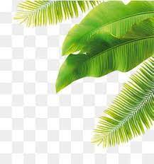 Green Leaves Png Image And Clipart Watercolor Leaves Leaves Banana Leaf
