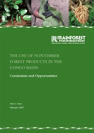 Image result for Oldfieldia macrocarpa