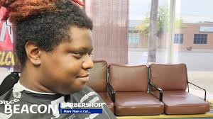 A before and after haircut...