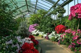 Jahrhunderts im park von schloss rosenstein erbaut wurde. Zoo In Stuttgart Wilhelma Hofft Auf Einen Teillockdown Stuttgart Stuttgarter Zeitung