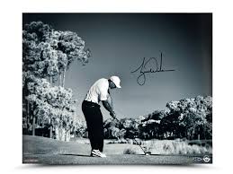 Tiger Woods Autographed Contact 16 X 20 Print Tiger Woods Upper Deck Autograph