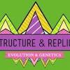 Dna structure and replication practice. 1