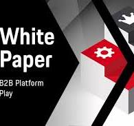 B2B Platform Play | Porsche Consulting