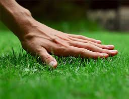 How often should a lawn mower be serviced? Weekly Lawn Care And Lawn Mowing Services In Calgary Area