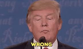 Image result for gifs of trump winning