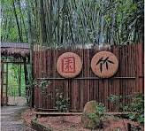 Amazon.com : Natural Bamboo Fencing, Decorative Rolled Fence ...