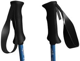 Ski Poles Guide Ski Equipment Mechanics Of Skiing