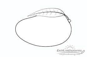 The most fun and satisfying way to prepare a mango. How To Draw A Mango Step By Step Easylinedrawing
