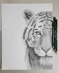 Amazing drawings cool drawings drawing sketches amazing art cat sketch drawing ideas sketching kitten drawing realistic animal pencil drawings of animals love drawings art drawings drawing tattoos painting tattoo realistic drawings cartoon drawings cartoon art arte. Realistic Animals 04 Realistic Animals Tiger Art Drawing Animal Drawings Sketches Pencil Drawings Of Animals