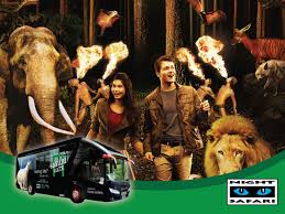 Singapore zoo customer agent reserves the right to cancel singapore night safari tickets if the customers fails to submit their details in time. Singapore Zoo Night Safari River Safari Tours Big Bus Duck Singapore City Tours