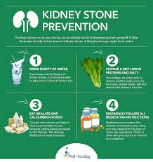 Kidney Stone Prevention Photograph By Finda Topdoc