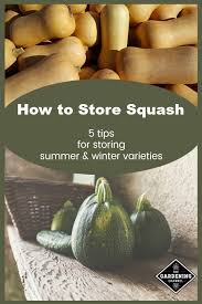 Maybe you would like to learn more about one of these? Storing Squash Gardening Channel