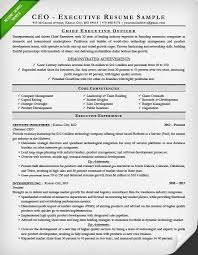 healthcare cio resume examples