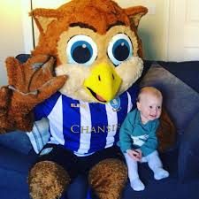 5.0 out of 5 stars. Barney Owl Swfc A Twitter Me And My Mini Owl She S Growing Up Quickly Obviously She S Taken Her Mother S Looks Not Sure When The Feathers Will Start To Show Swfc Https T Co 1tz6jlopar