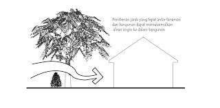 Sebagai tips tambahan agar aliran udara di dalam rumah menjadi lebih lancar, pasanglah roster tersebut di kedua sisi dinding yang berseberangan. Memanfaatkan Potensi Angin Ke Dalam Rumah Ikatan Alumniarsitekturuntan