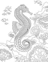 Coloring Seahorse Pages For Adults Horse Coloring Pages Ocean Coloring Pages Coloring Pages