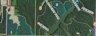 Ramsey lake state recreation area is the perfect place for people who want to relax or for those camping campers have many sites from which to choose to pitch a tent or park a trailer. Timber Stand Improvement At Ramsey Lake State Park