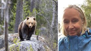 Björnjakten fortsätter i norra Dalarna