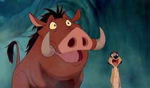 Timon Y Pumba Timon Y Pumba Dibujos Pumba
