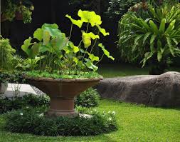 This Tropical Garden Is Located Near Brisbane Australia Description From Pinterest Com I Searched For T Tropical Garden Tropical Landscaping Tropical Plants