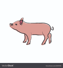 Outline Draw Pig Royalty Free Vector Image Vectorstock