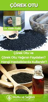 Corek Otu Ve Corek Otu Yaginin Faydalari Hangi Hastaliklarda Kullanilir Otlar Corek Otu Saglikli Yasam