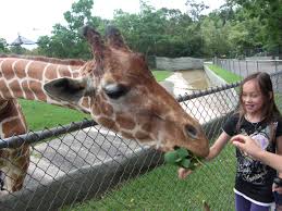 Looking For A Fun Outdoor Activity For The Whole Family Go To The Baton Rouge Zoo For Tons Of Kid Friendly Fun Baton Rouge Zoo Zoo Kid Friendly Fun