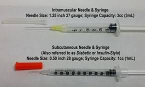 hcg syringes with needles attached 40 or 80