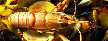 Image result for Vossia