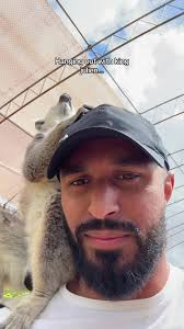 King Julien's Fun Cookie Quest