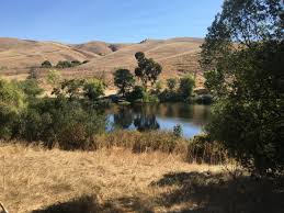 Check spelling or type a new query. A Hike At Garin Photos Of The Day Castro Valley Ca Patch