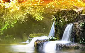 You can also upload and share your favorite hd gif wallpapers. Free Download Awesome Nature Wallpapers Hd Wallpapers Awesome Nature Wallpapers 1920x1200 For Your Desktop Mobile Tablet Explore 77 Nature Background Images Wallpaper Background Images