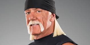If you do not know, we have prepared this. Hulk Hogan Net Worth 2020 The Net Worth Portal