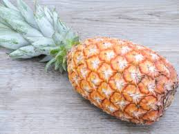 Ananas Pain De Sucre Noah Primeurs
