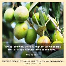 Hmmm Wine Or Olive Oil Oliveoil Evoo Foodquotes Olive